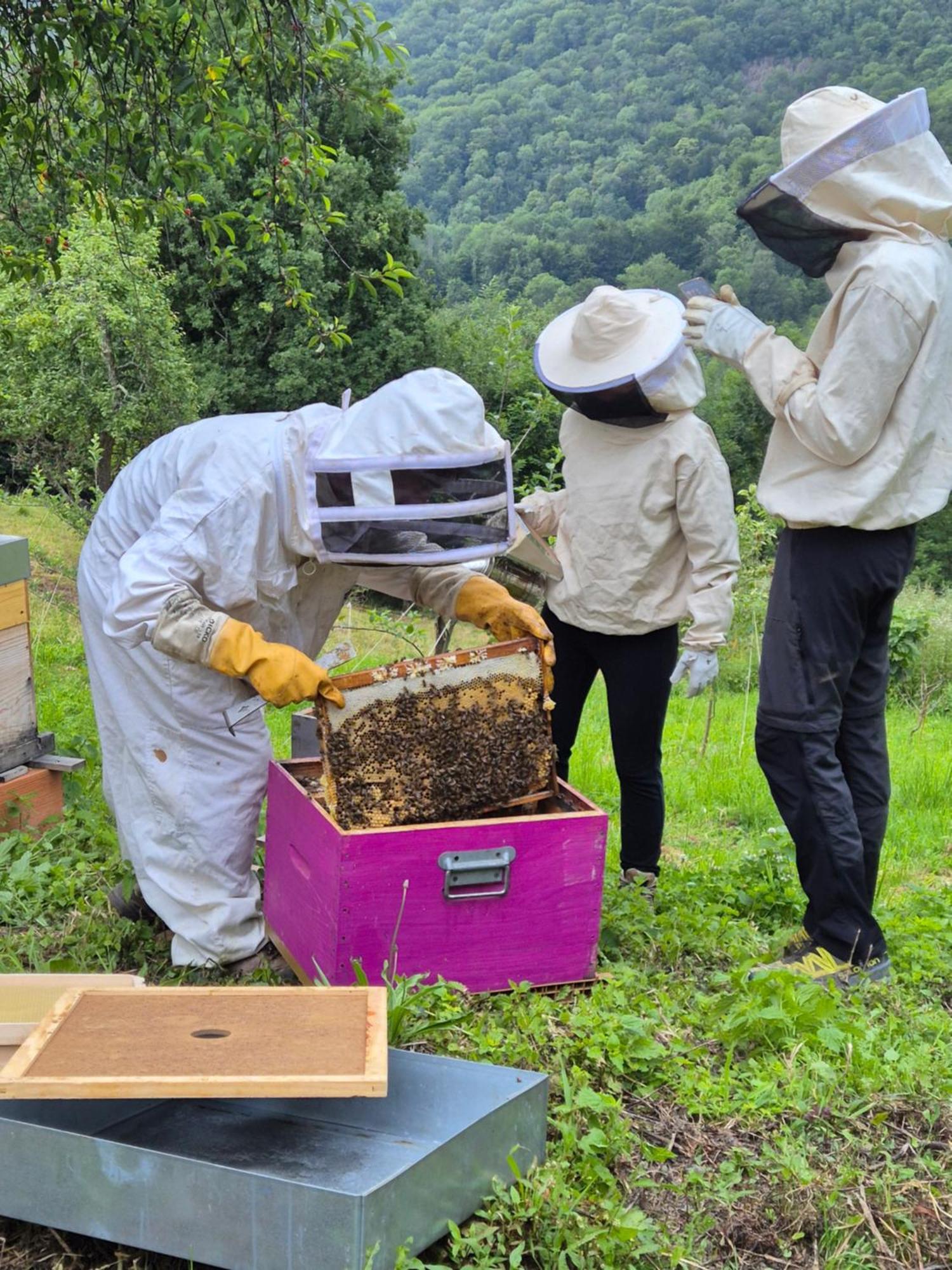 Maison Berthranet Seich Ngoại thất bức ảnh